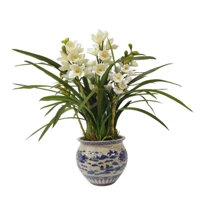 Winward Silks Faux Silk Orchid Arrangement In Pot In White