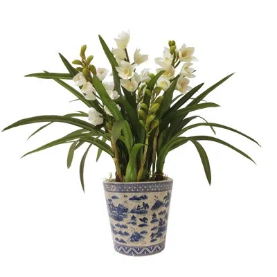 Winward Silks Faux Silk Orchid Arrangement In Pot In White,green