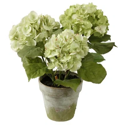 Winward Silks Hydrangeas 3 Stems In Clay Pot In Green