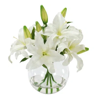 Winward Silks Lilies In Vase In White