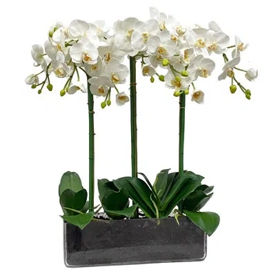 Winward Silks Orchid Stem In Glass Vase In White
