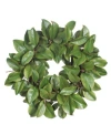 Winward Silks Permanent Botanicals Magnolia Leaf Twig Wreath In Green