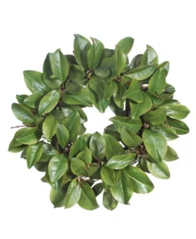 Winward Silks Permanent Botanicals Magnolia Leaf Twig Wreath In Green