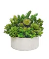 Winward Silks Permanent Botanicals Succulent In Planter In Green