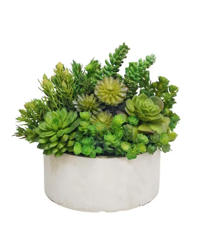 Winward Silks Permanent Botanicals Succulent In Planter In Green