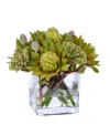 Winward Silks Permanent Botanicals Waratah In Vase In Green