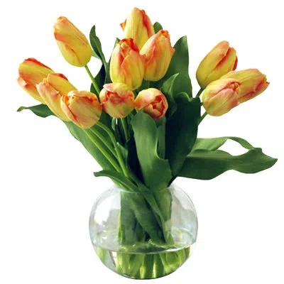Winward Silks Tulip In Bubble Glass In Yellow