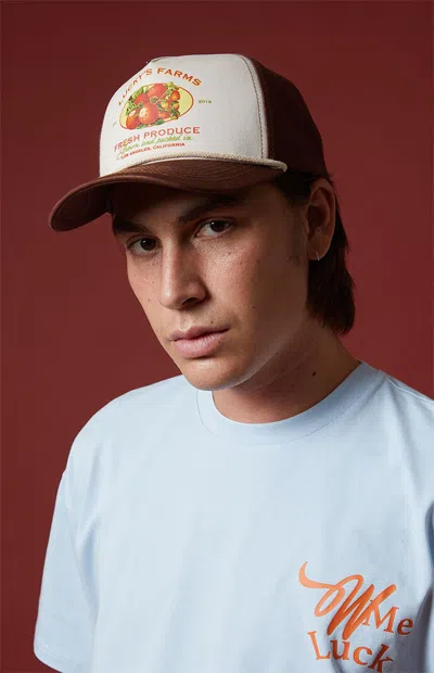 Wish Me Luck Fresh Produce Snapback Hat In Brown In Multi