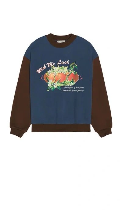 Wish Me Luck Greatest Fortune Crewneck Sweater In Multi