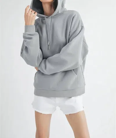 Wishlist Cotton Hooded Sweatshirt In Slate In Grey