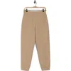 Wishlist French Terry Sweatpants In Brown