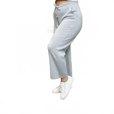 Wishlist Hold The Vision Elasticized Waistband Cropped Pants In Grey In Gray