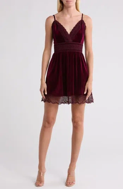 Wishlist Lace Trim Velvet Fit & Flare Dress In Burgundy