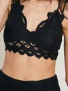Wishlist Scalloped Latice Bralette In Black In Black