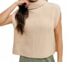 Wishlist Turtleneck Sweater Top In Natural In White