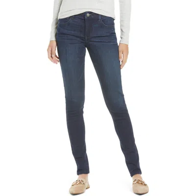 WIT & WISDOM WIT & WISDOM 'AB'SOLUTION SKINNY ANKLE JEANS