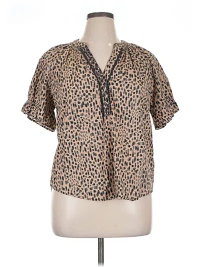 Pre-owned Wit & Wisdom Short Sleeve Blouse In Brown