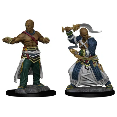 Wizkids Pathfinder Deep Cuts Human Male Monk W1 Miniature