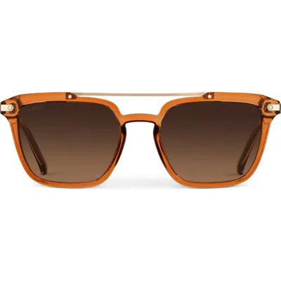 Wmp Eyewear Connor In Pattern