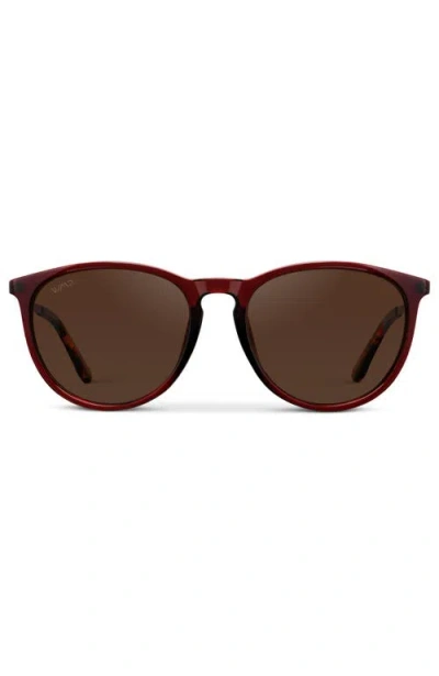 Wmp Eyewear Drew