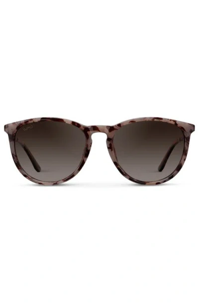 Wmp Eyewear Drew