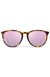 Wmp Eyewear Drew In Brown