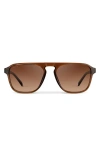 Wmp Eyewear Emerson In Brown