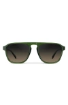 Wmp Eyewear Emerson In Green