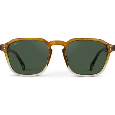 Wmp Eyewear Francis In Green