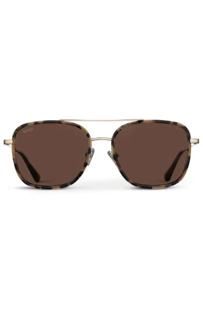 Wmp Eyewear Gia