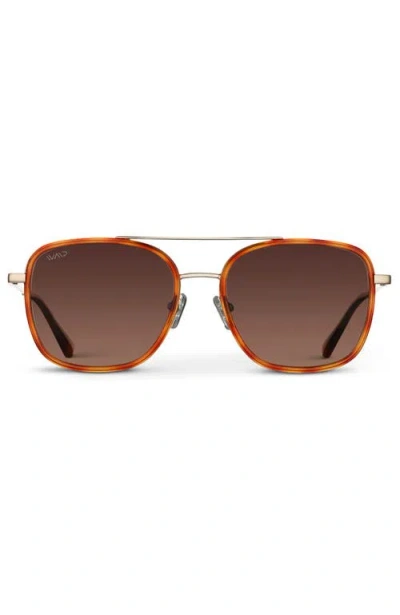 Wmp Eyewear Gia