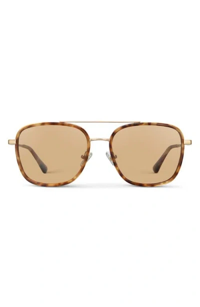 Wmp Eyewear Gia