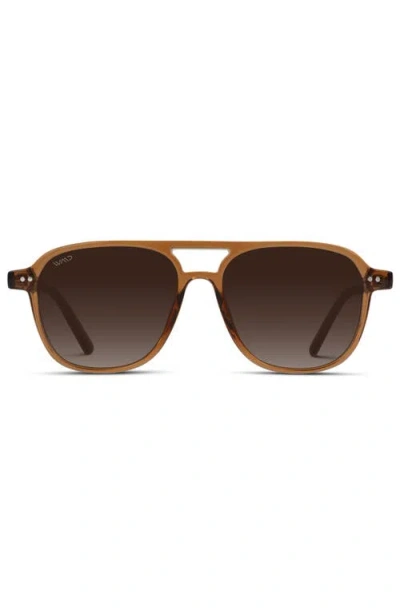 Wmp Eyewear Hayden In Brown