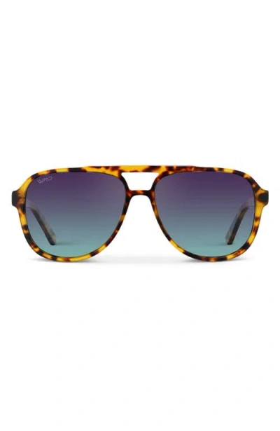 Wmp Eyewear Indie In Purple