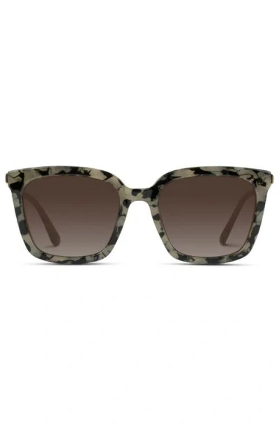 Wmp Eyewear Madison