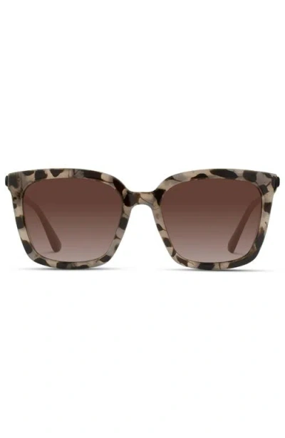 Wmp Eyewear Madison