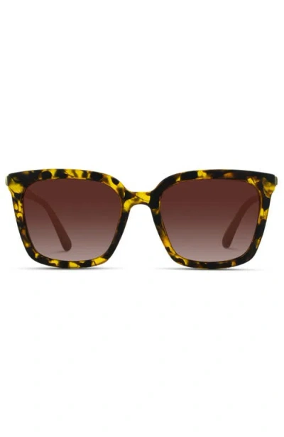 Wmp Eyewear Madison In Brown