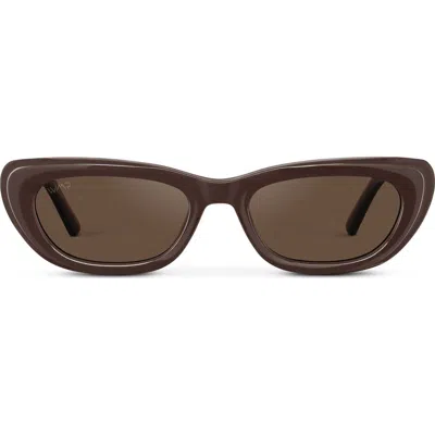 Wmp Eyewear Quinn In Brown
