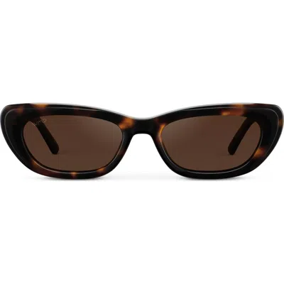 Wmp Eyewear Quinn In Brown