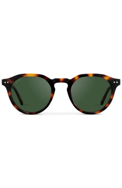 Wmp Eyewear Ralph In Brown