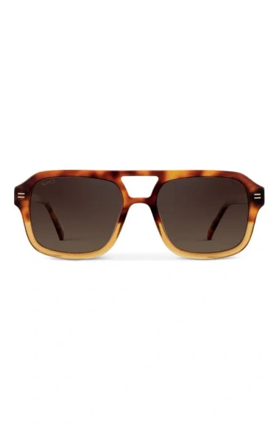 Wmp Eyewear Sydney