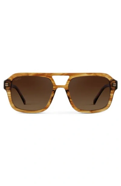 Wmp Eyewear Sydney