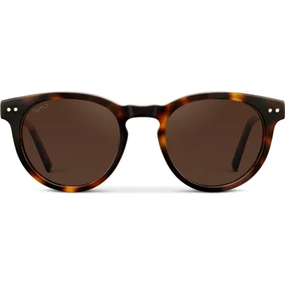 Wmp Eyewear Tate In Purple