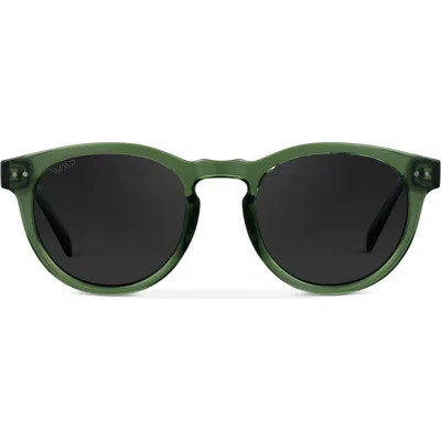 Wmp Eyewear Tate In Animal Print
