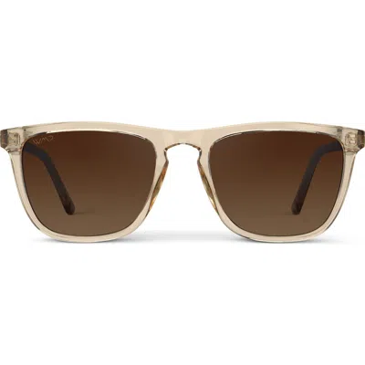 Wmp Eyewear Wesley In Brown