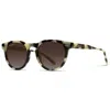 Wmp Eyewear Women's Tate Round Polarized Sunglasses In Tortoise In Multi
