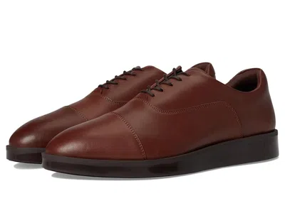 Wolf & Shepherd Closer Oxford In Brown