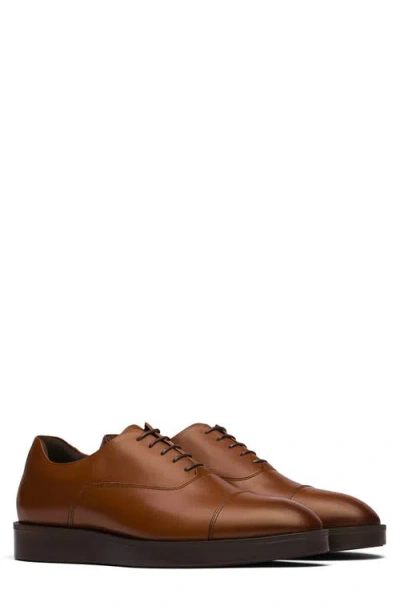 Wolf & Shepherd Closer Oxford In Brown