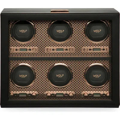 Wolf Axis 6 Piece Watch Winder In Copper