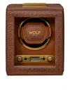 Wolf Brogue Single Winder In Brown